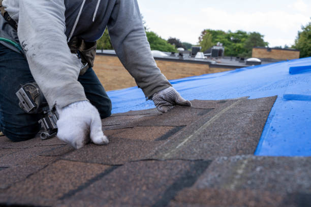 Best Metal Roofing Installation  in Gore, OK